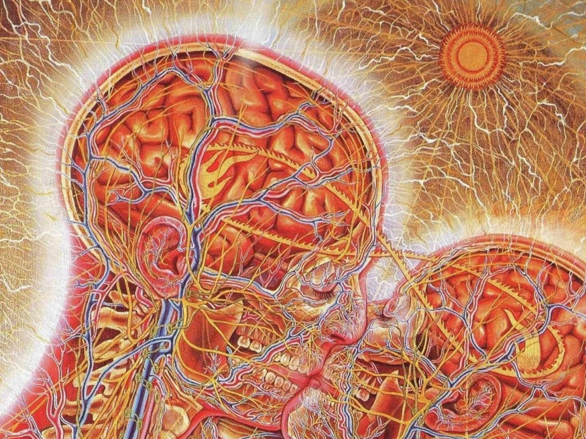 Настоящая химия любви