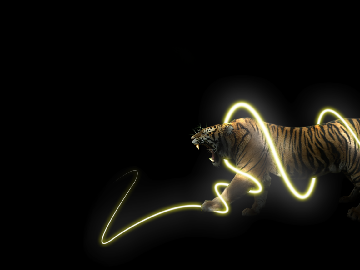 Тигр в энерго спирали
