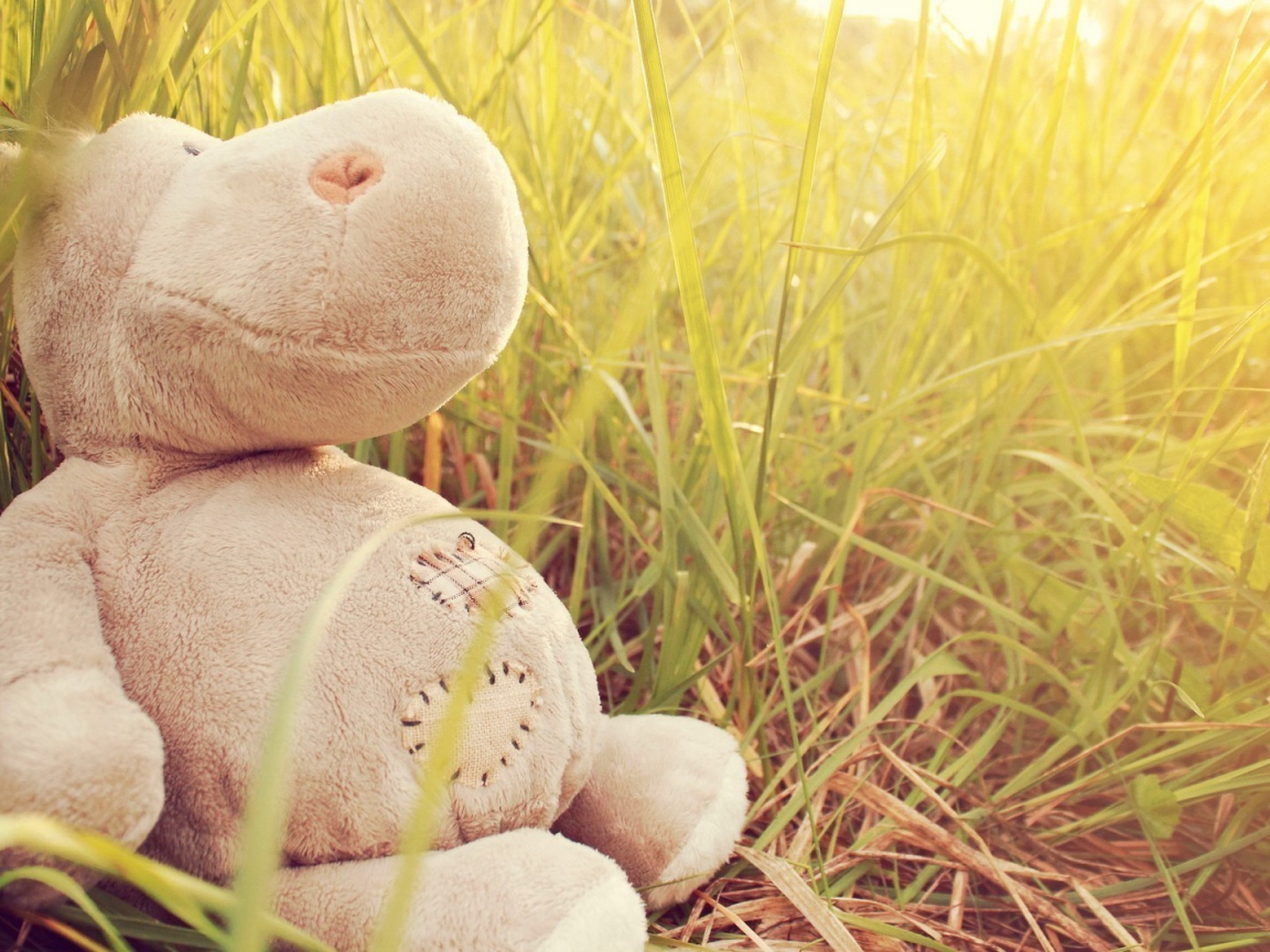 Игрушечный бегемот в траве