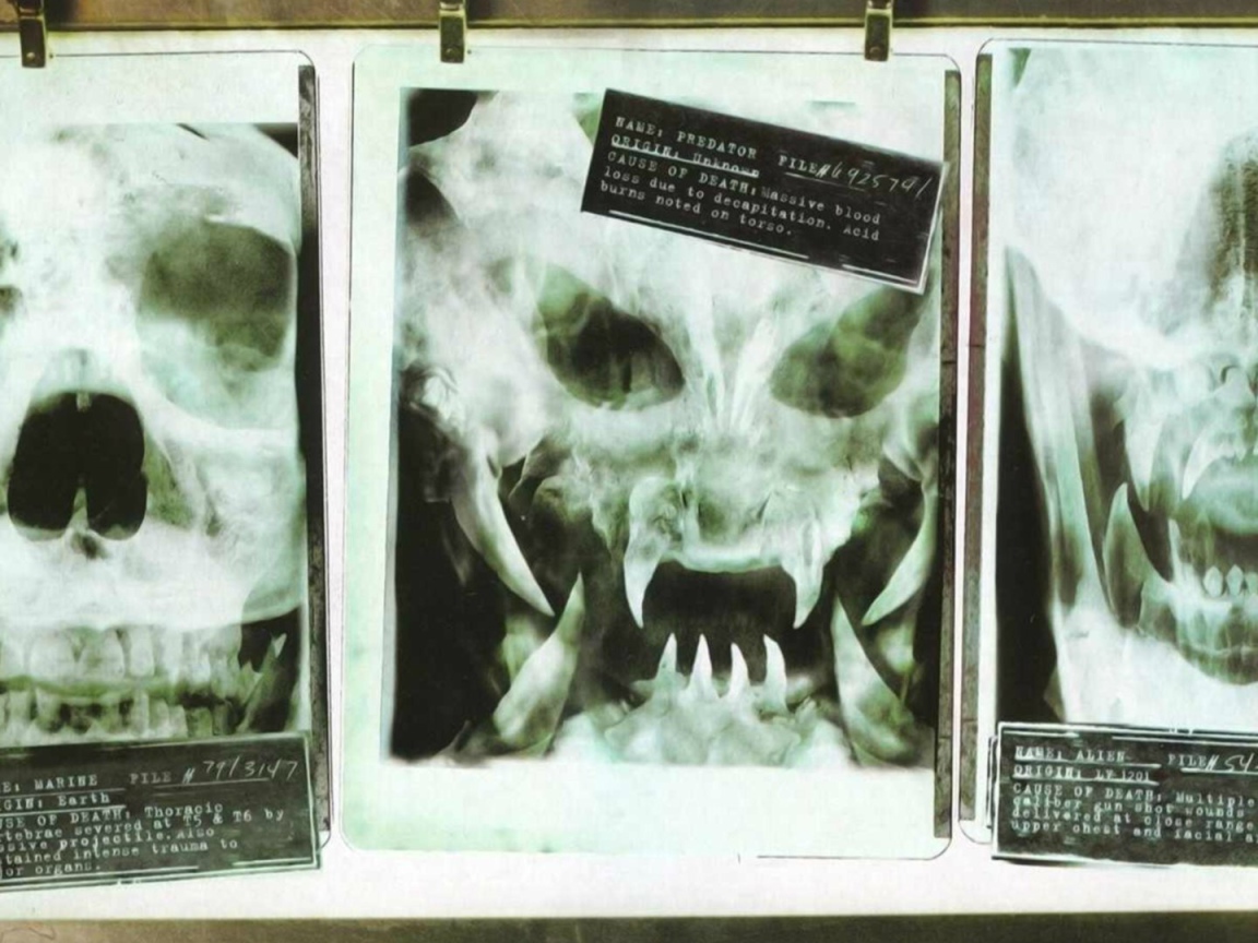 Рентгеновские снимки опасных созданий