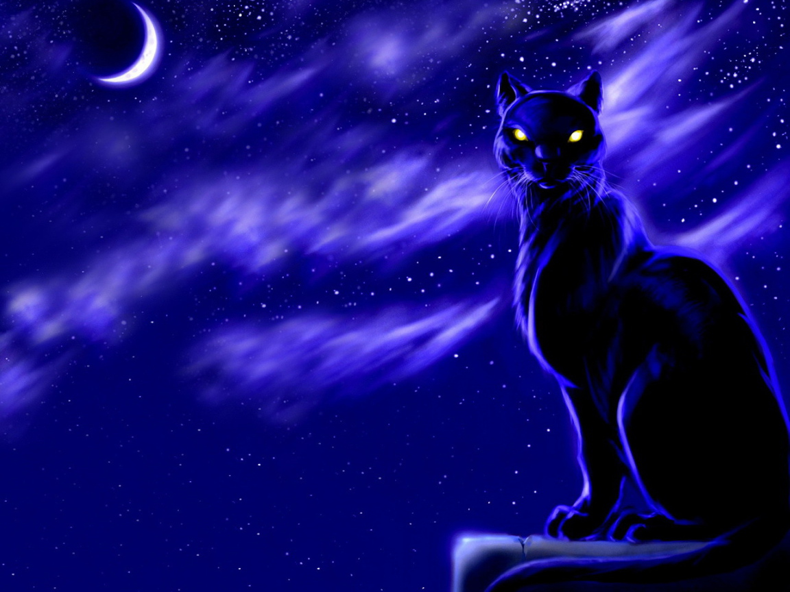 Черный кот лунной ночью