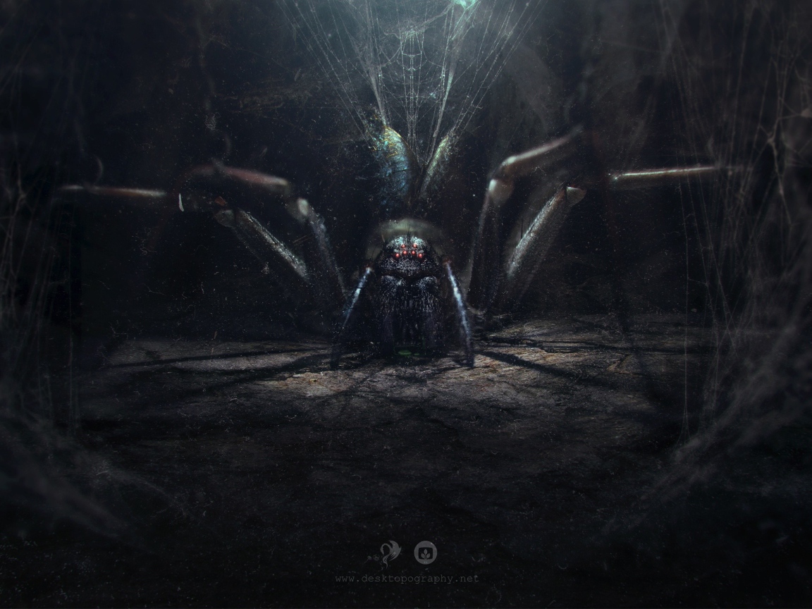 Огромный паук в своем логове