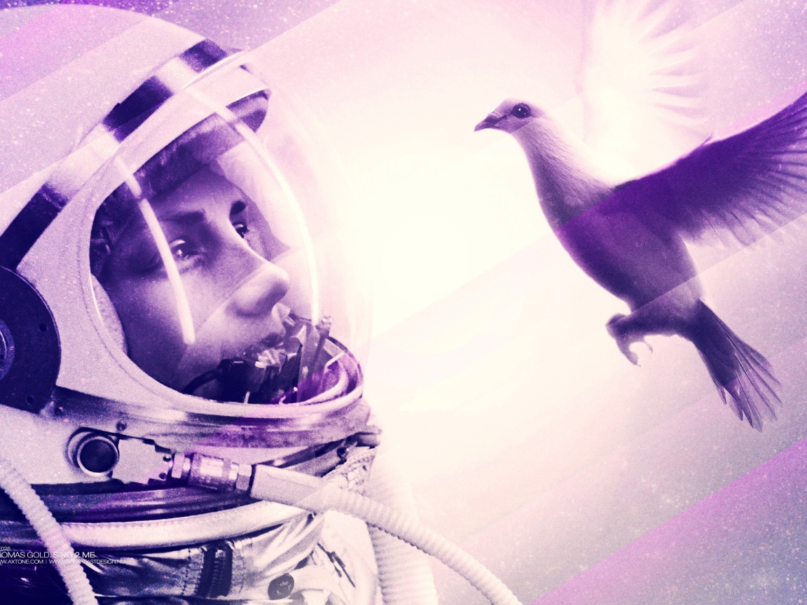 Космонавт смотрит на птицу