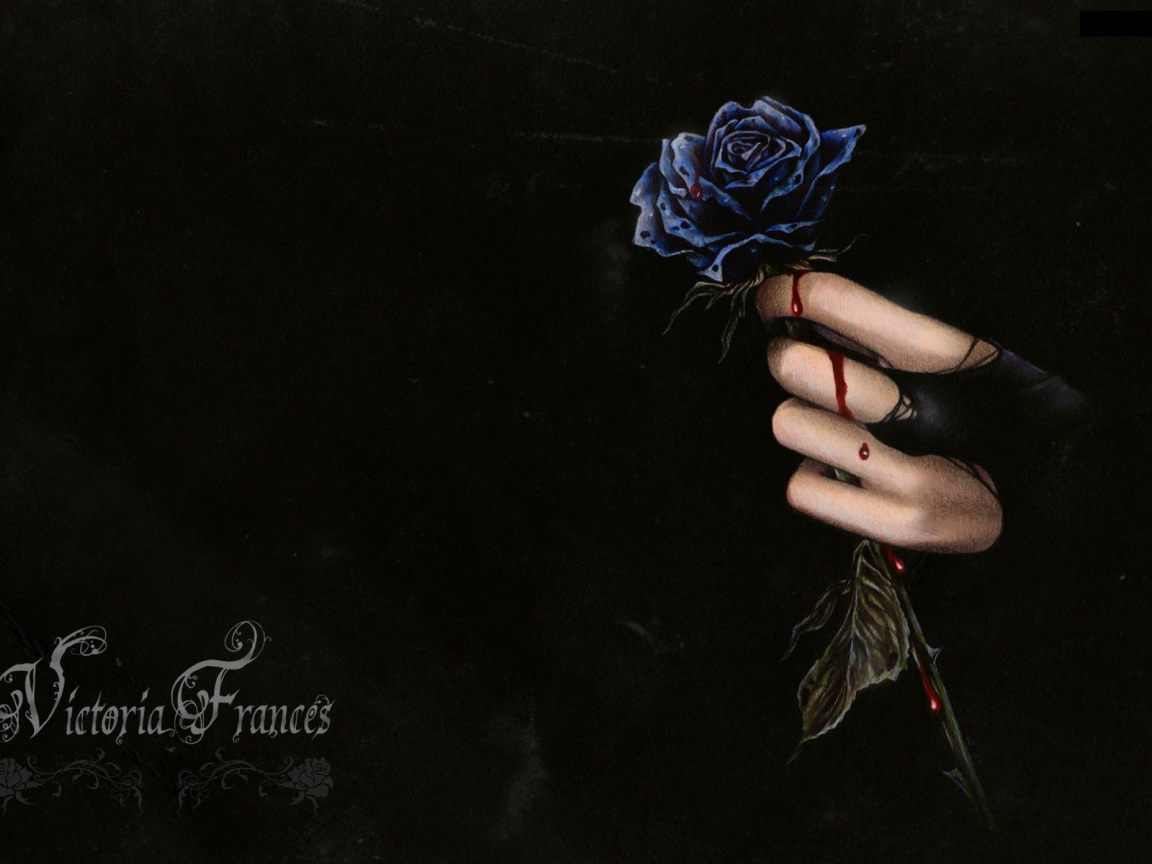 Капли крови на розе и руке