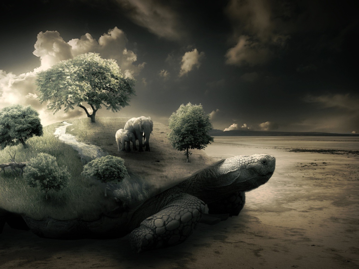 Слоны на черепахе на берегу моря