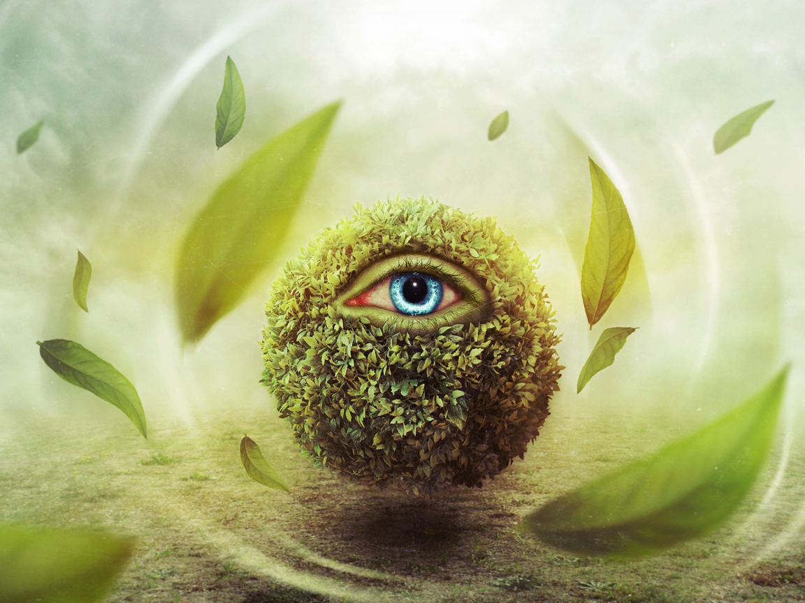 Глаз в шаре из листьев