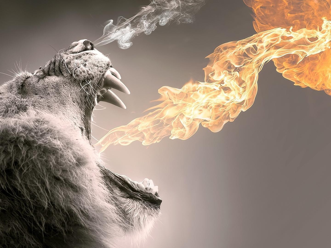 Пламя из пасти мохнатого животного