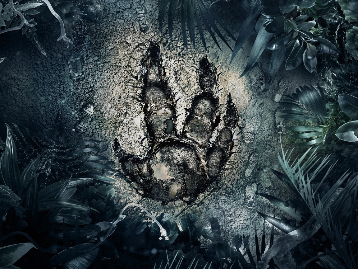 След загадочного зверя