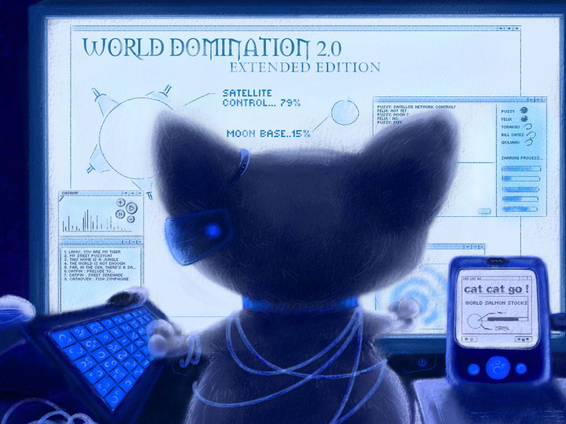 Кот около монитора