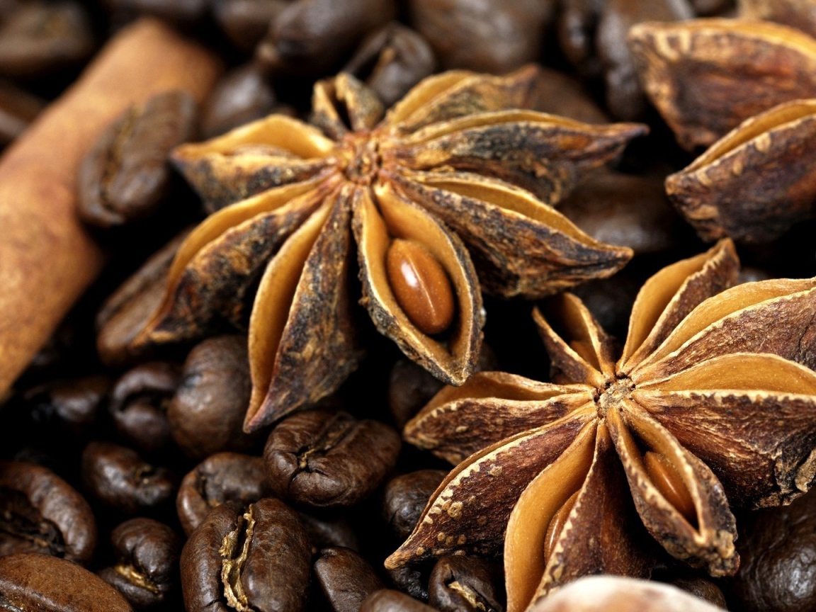 Плоды бадьянового дерева