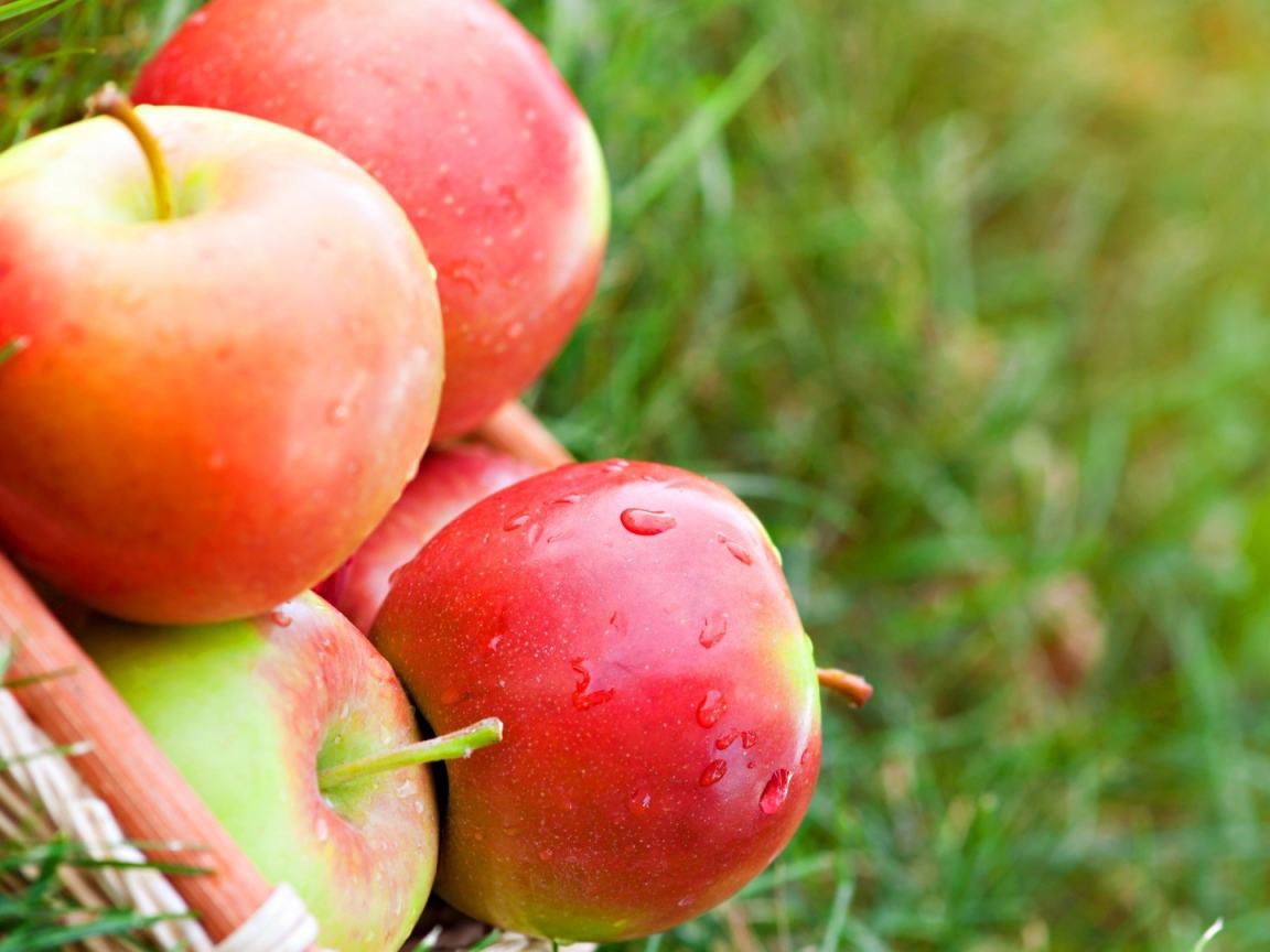 Яблоки лежат на траве