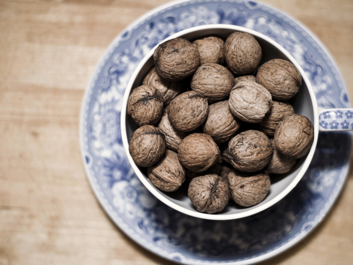 Чашка с грецкими орехами