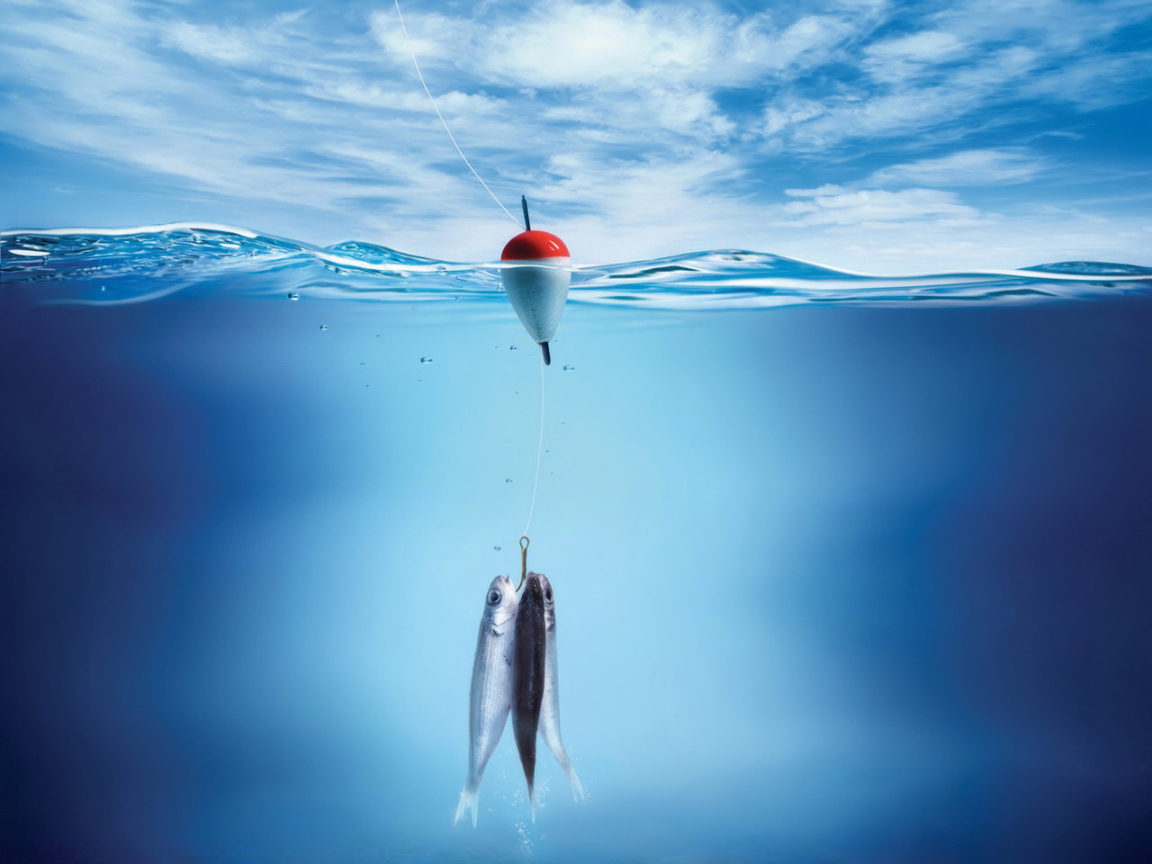 Три рыбы на крючке