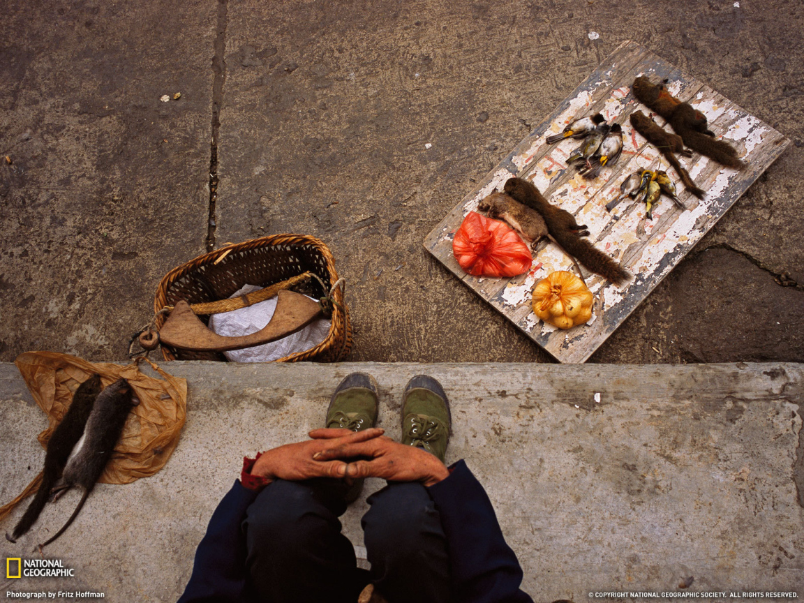 Торговля деликатесами