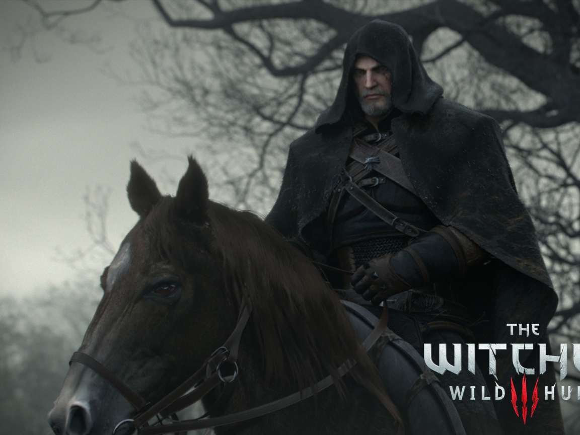 Черный всадник в игре The Witcher 3 Wild Hunt