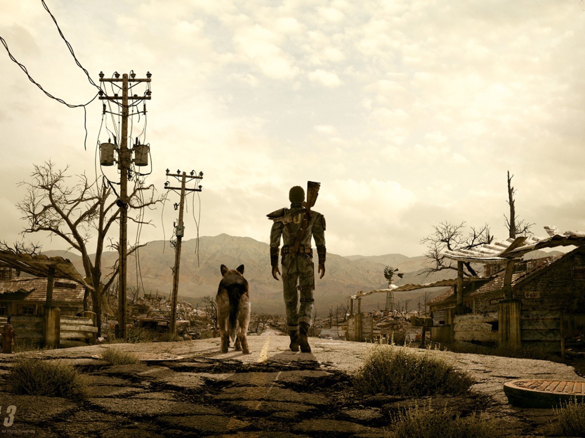 Герой с собакой в игре Fallout 3