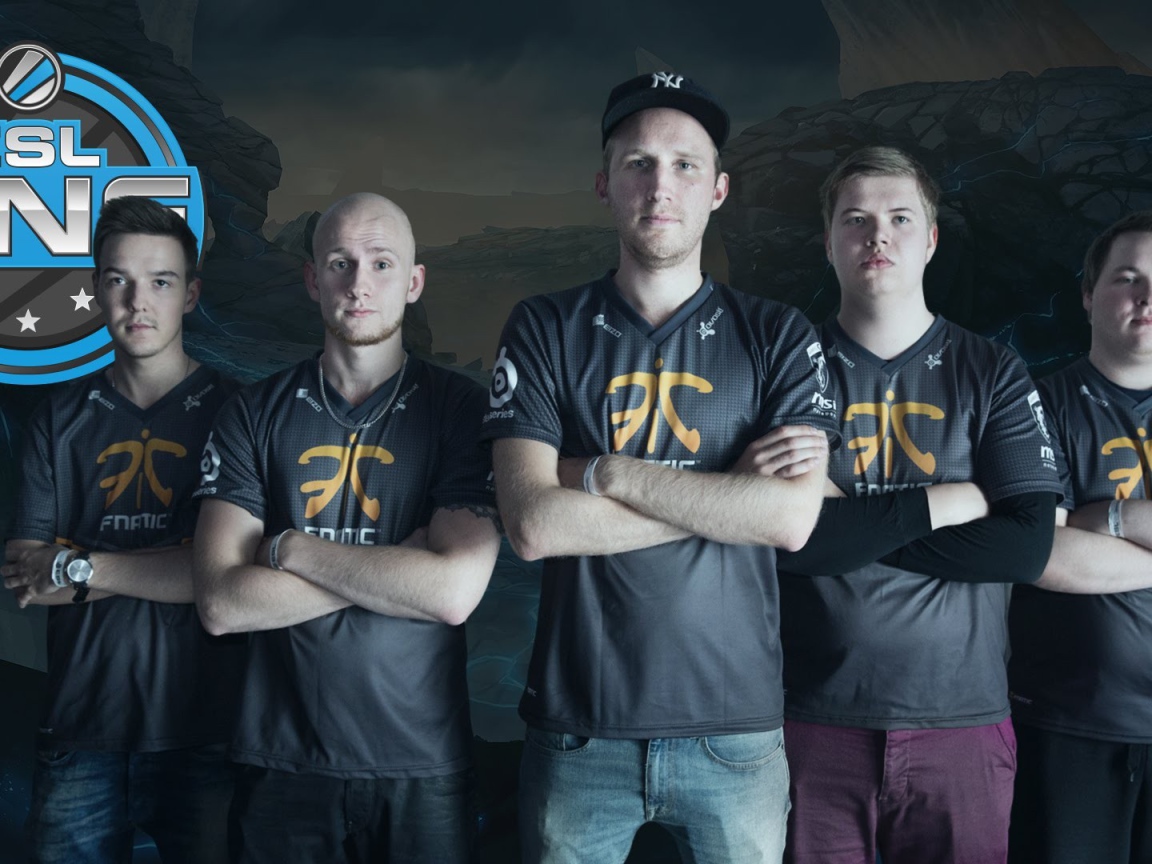 Команда геймеров Fnatic