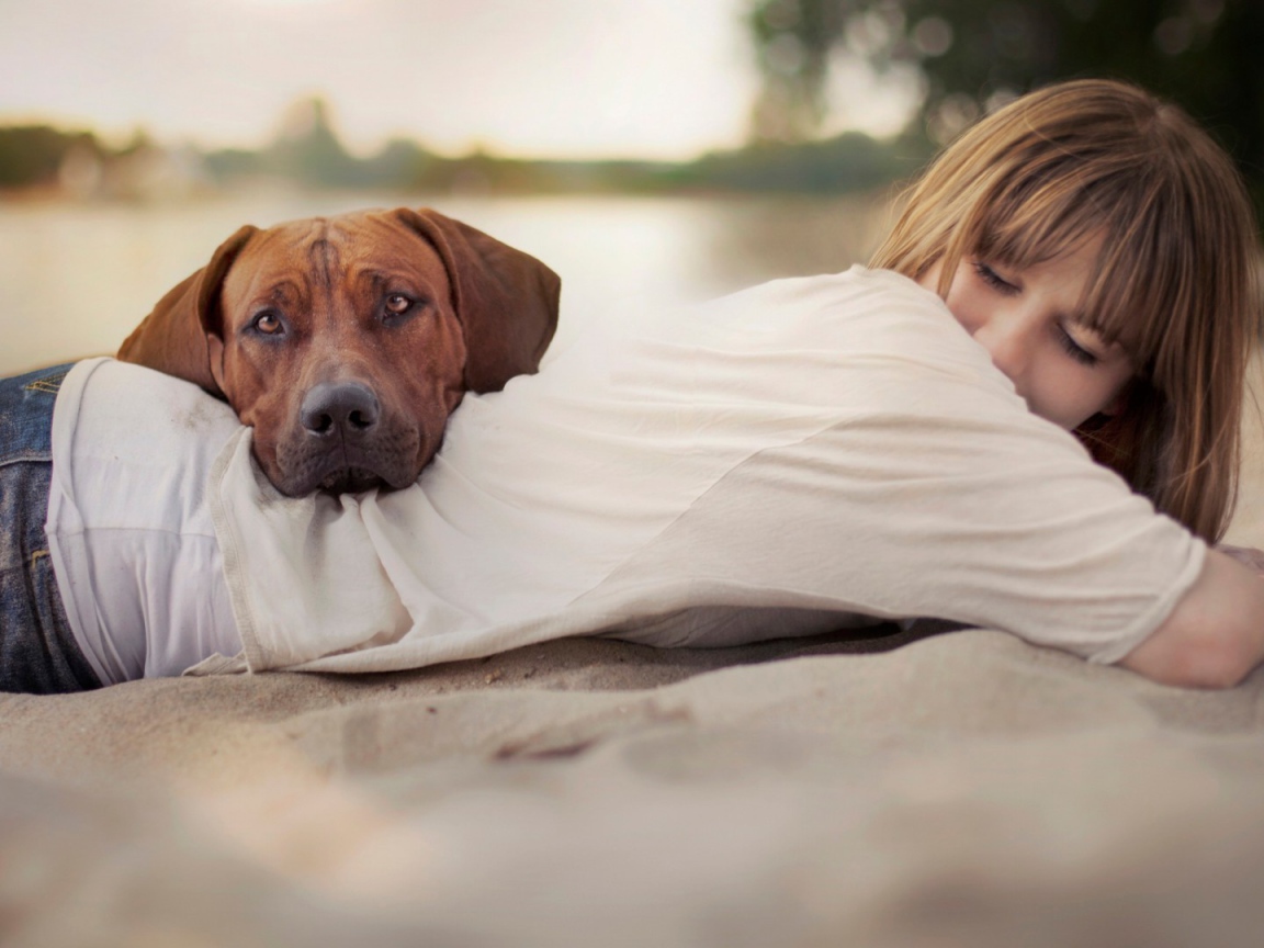 Собака положила голову на спину девушки