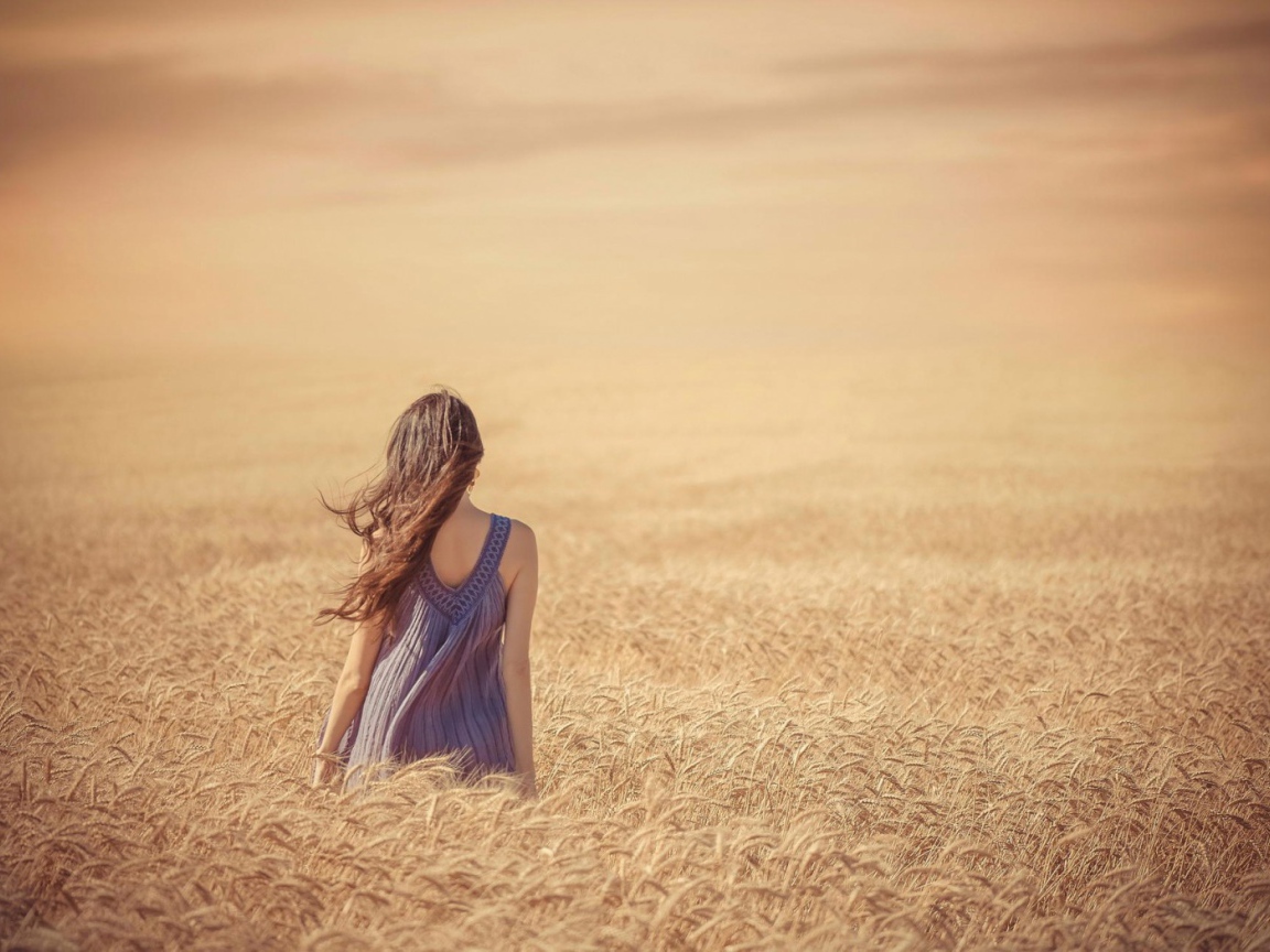 Девушка среди поля спелой пшеницы