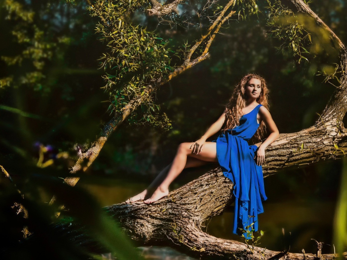 Девушка в голубом платье на дереве