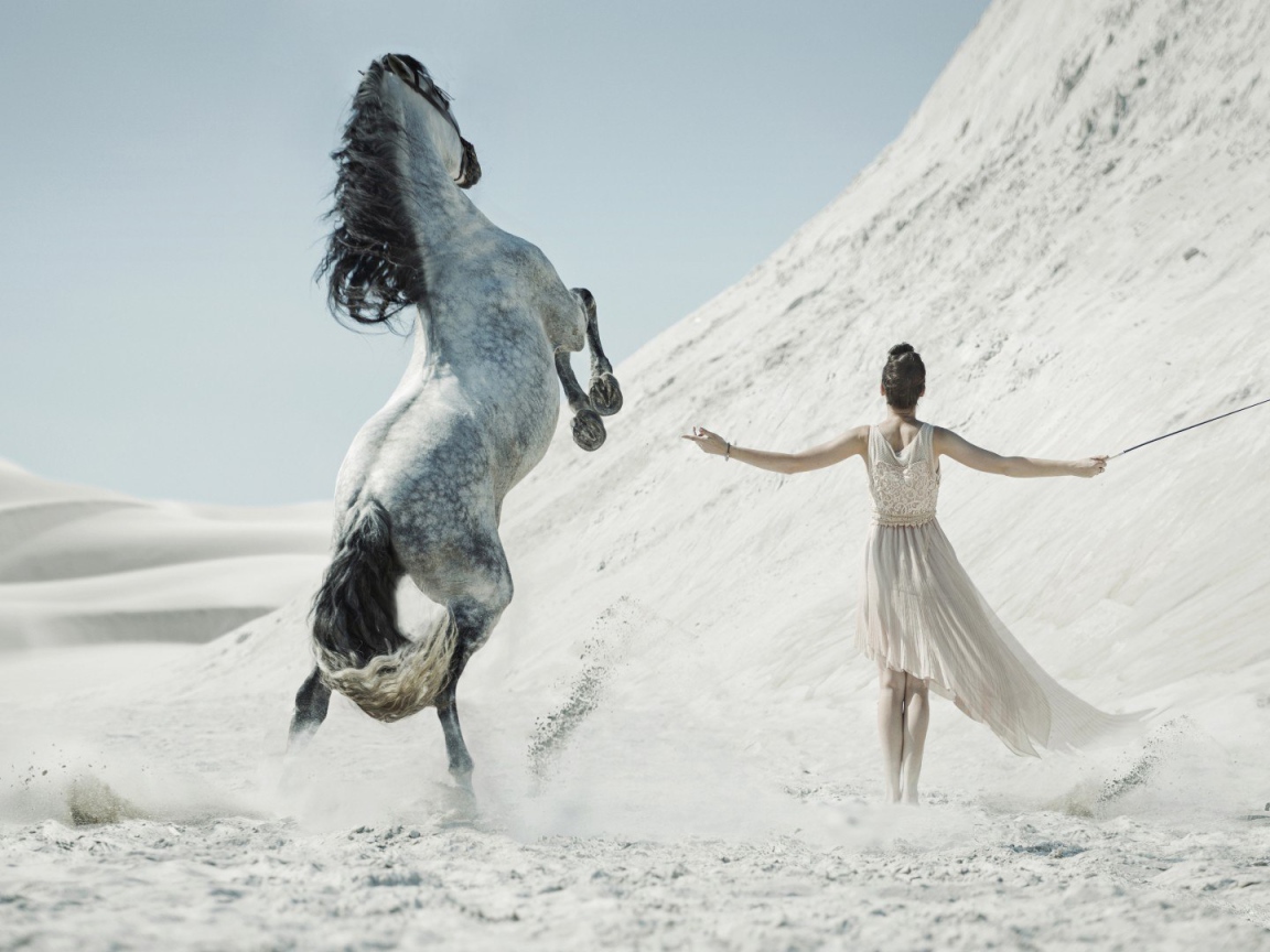 Девушка укрощает лошадь