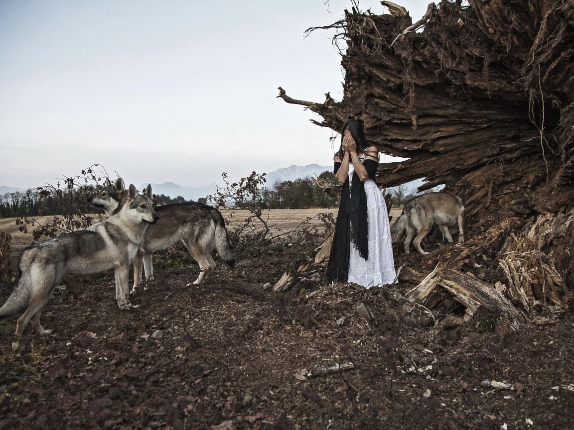 Девушка закрыла лицо в окружении волков