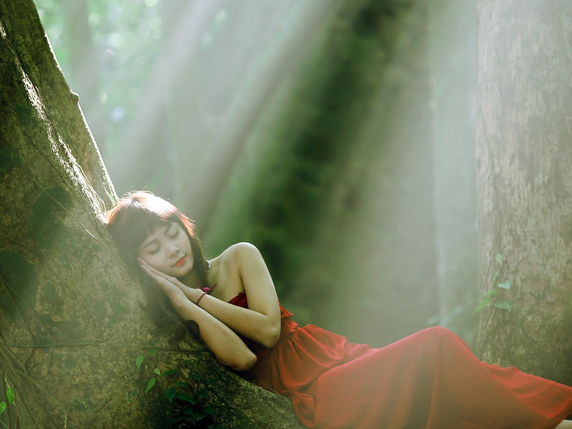 Девушка прилегла отдохнуть на стволе дерева