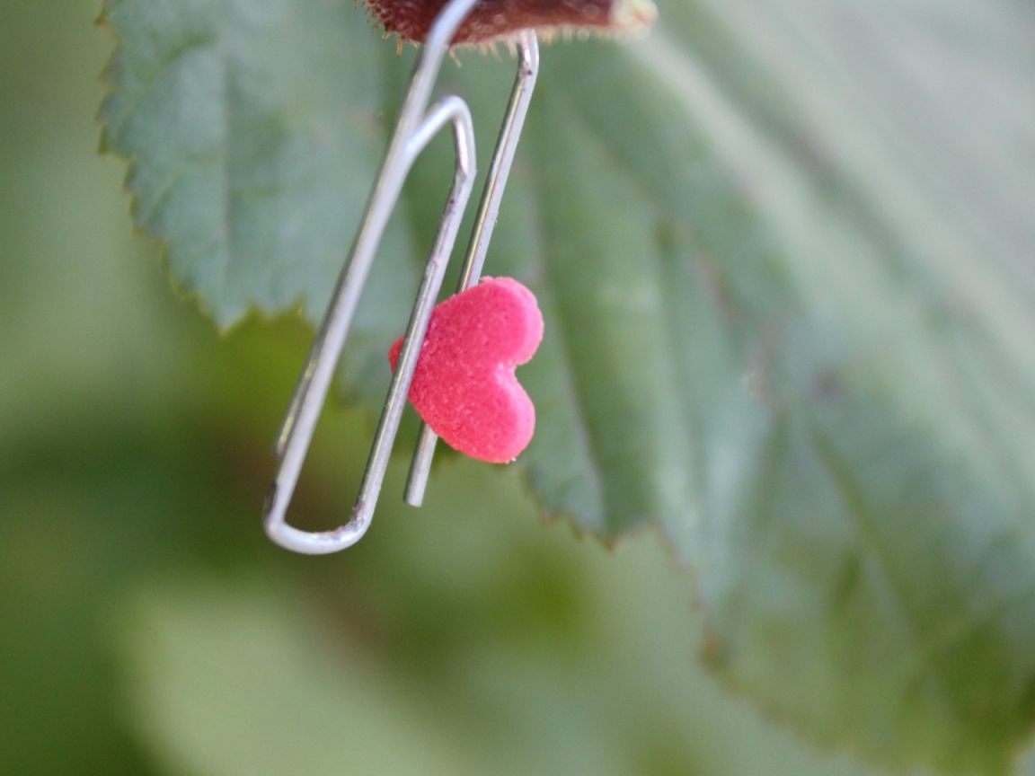 Скрепка с сердцем на зеленом листике