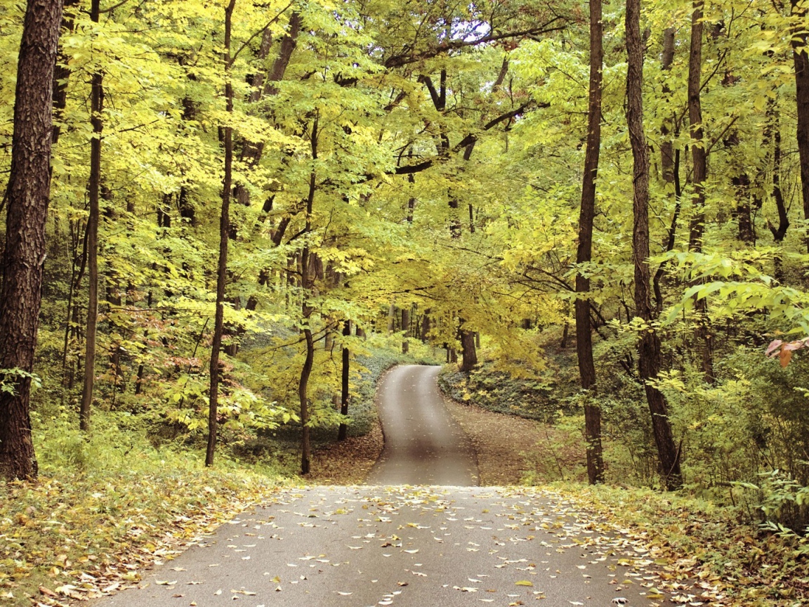 Велосипедная дорожка в осеннем парке