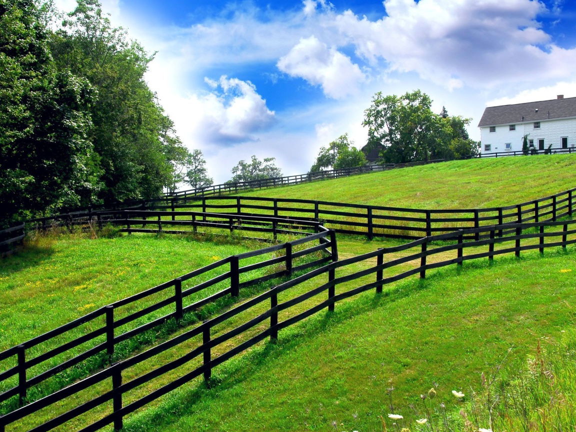 Заборы на границах участков