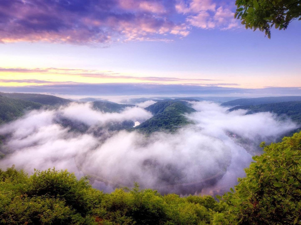 Туман над покрытыми густым лесом горами