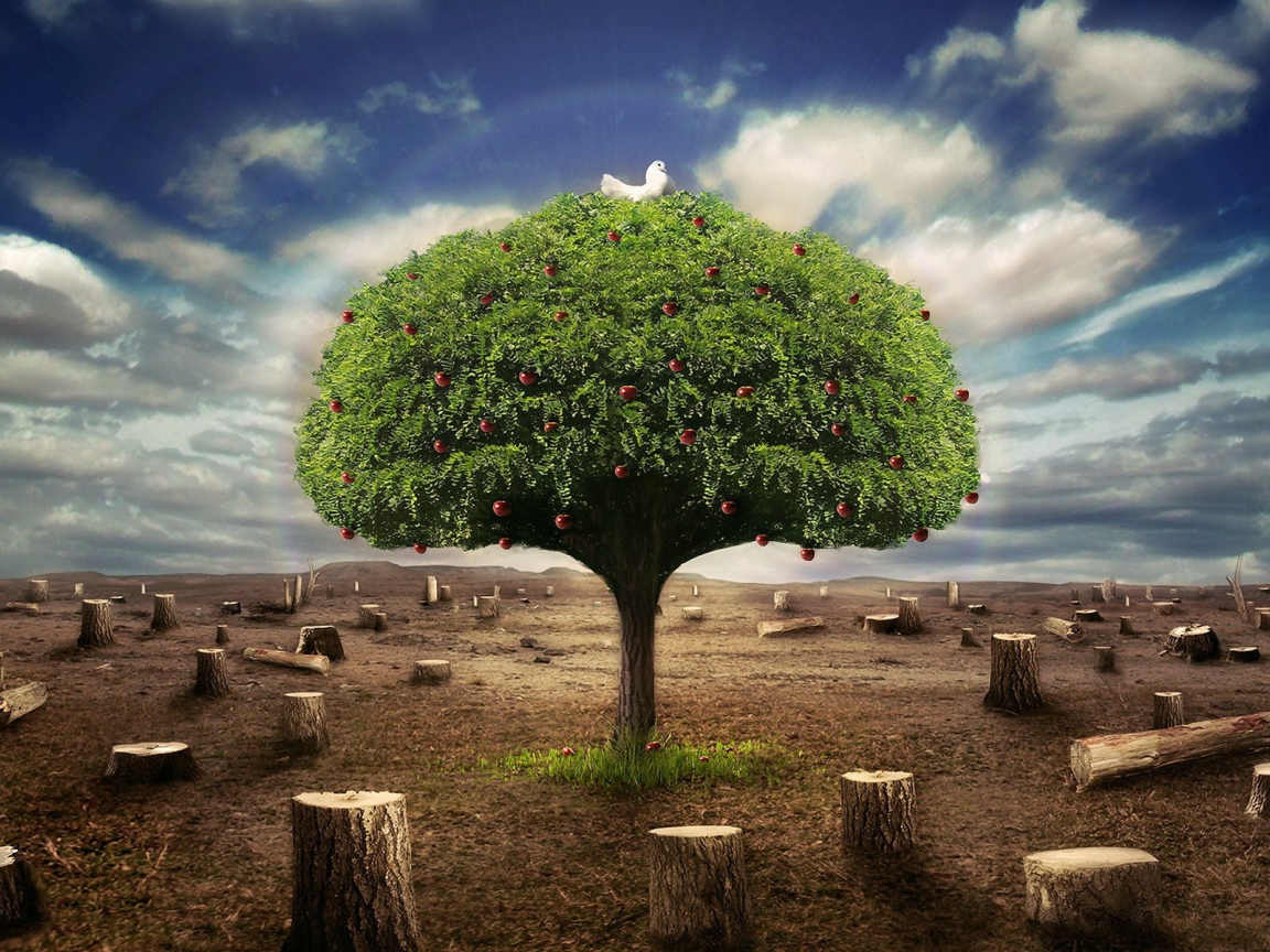 Живое дерево среди пеньков