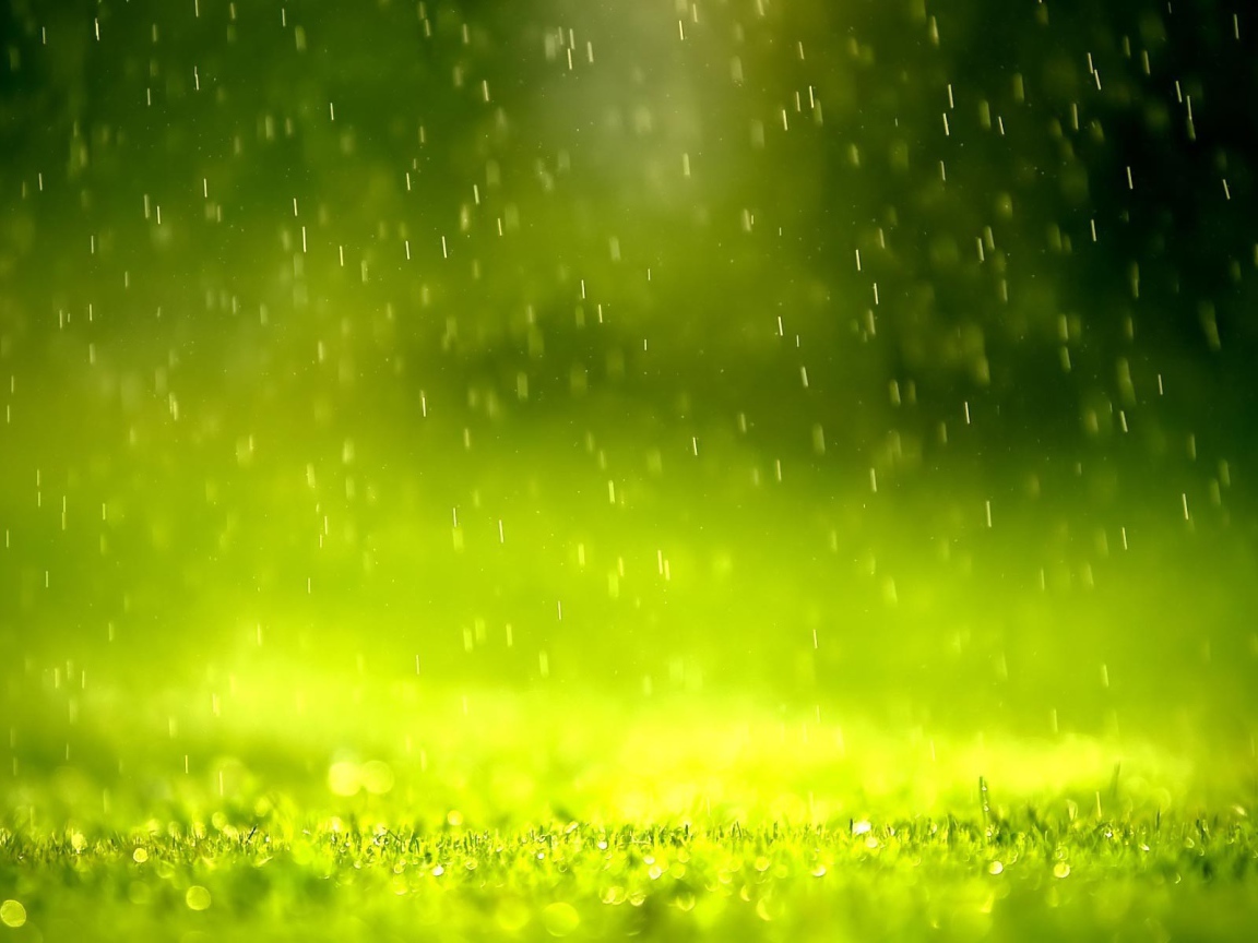 Дождь в зеленой дымке