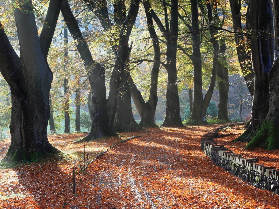 Поворот аллейки, усыпанной листьями