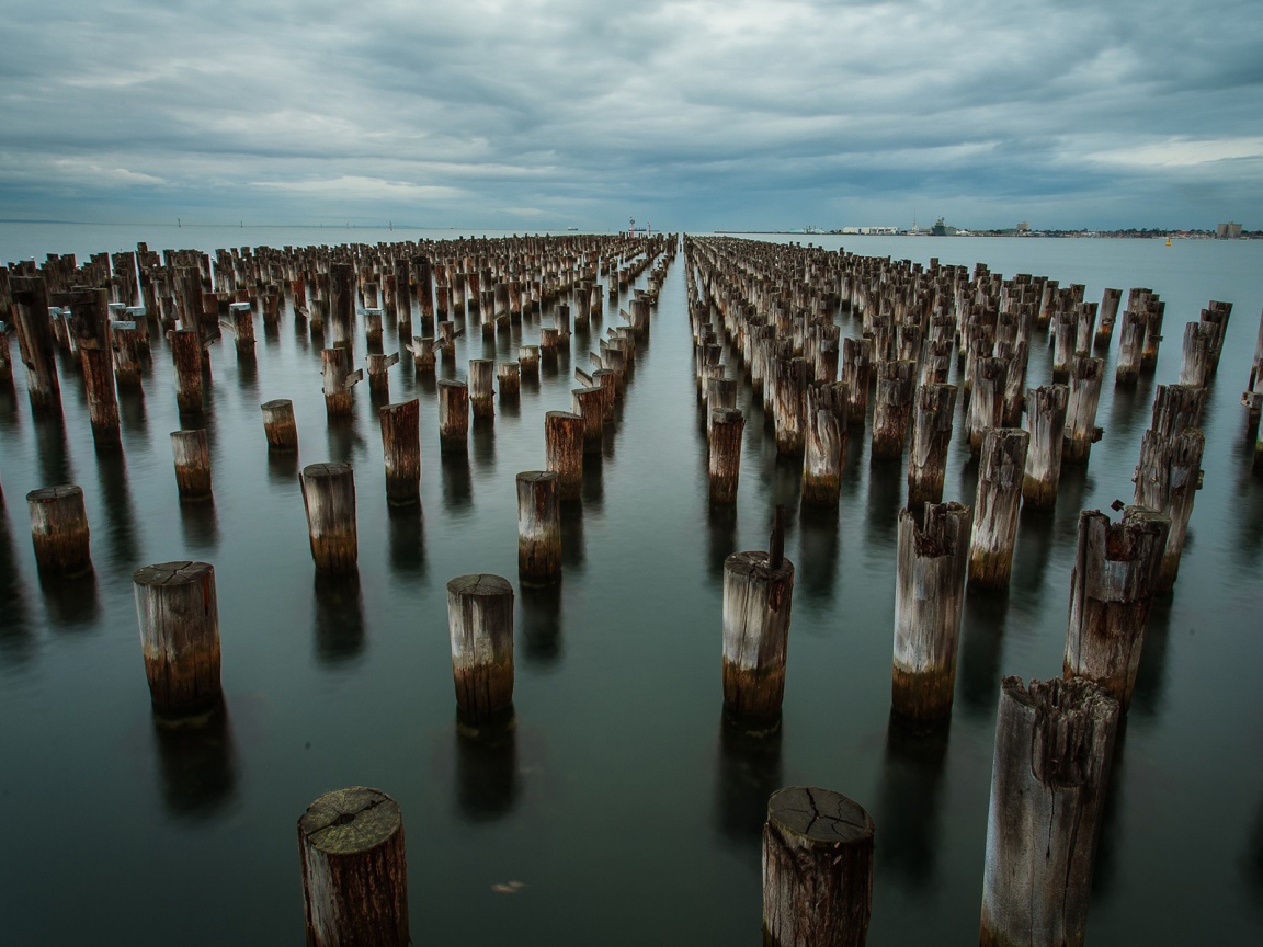 Ряды деревянных свай в воде