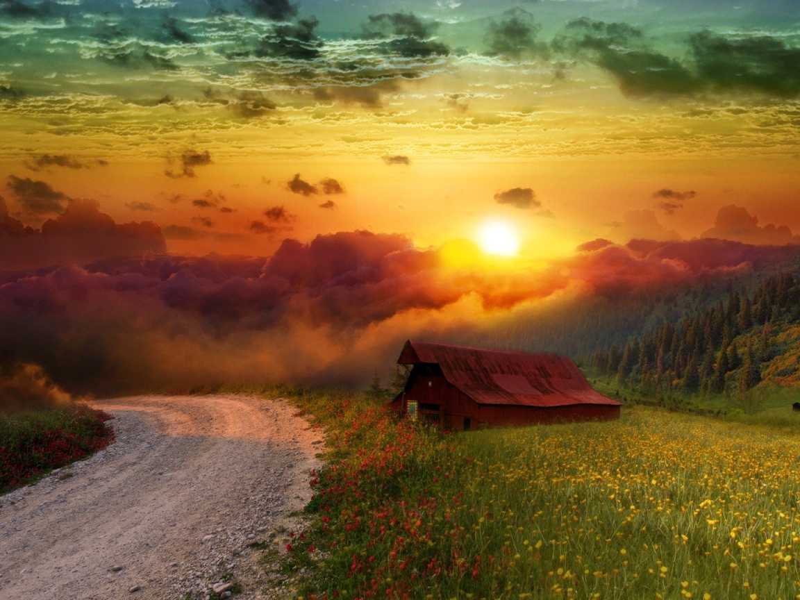 Сарай на обочине проселочной дороги