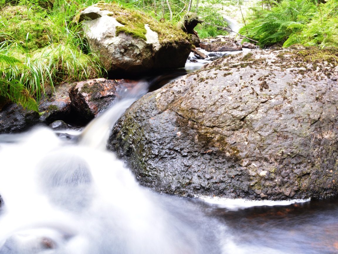 Ручей среди покрытых мхом камней