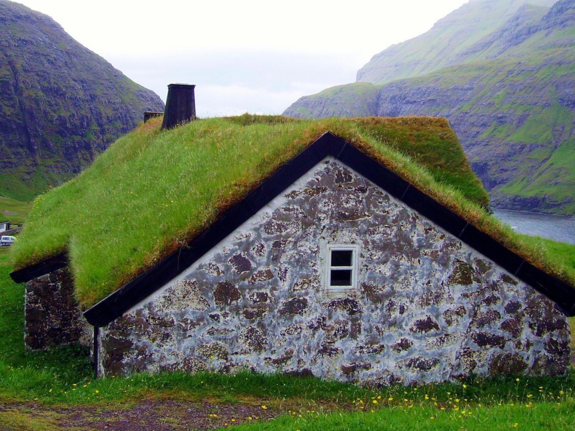 Густая трава на крыше сарая