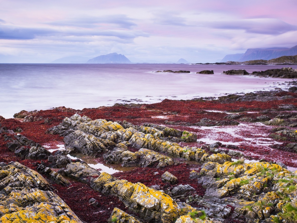 Желтые камни на берегу моря