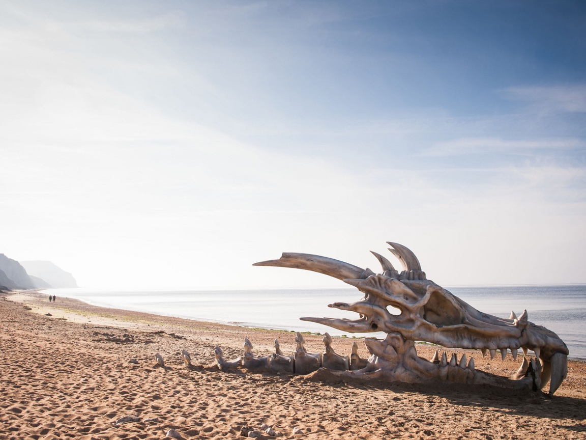 Череп дракона на пляже