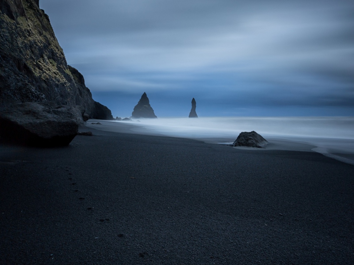 Следы животного на черном песке пляжа