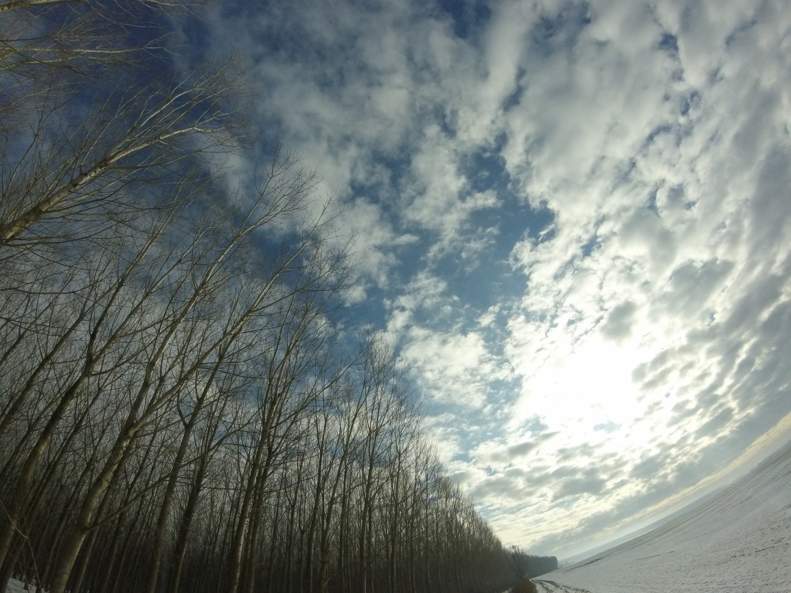 Облака в весеннем небе