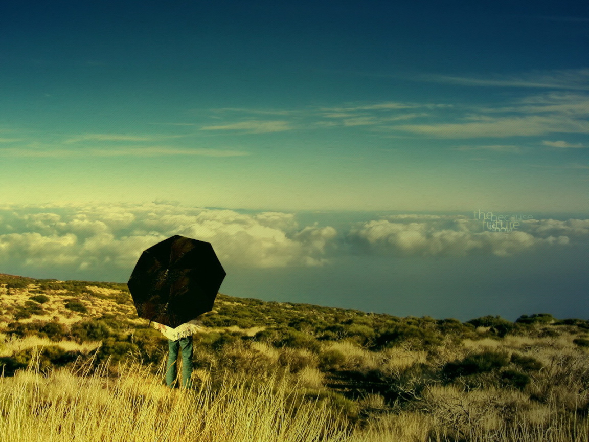 Человек выше облаков