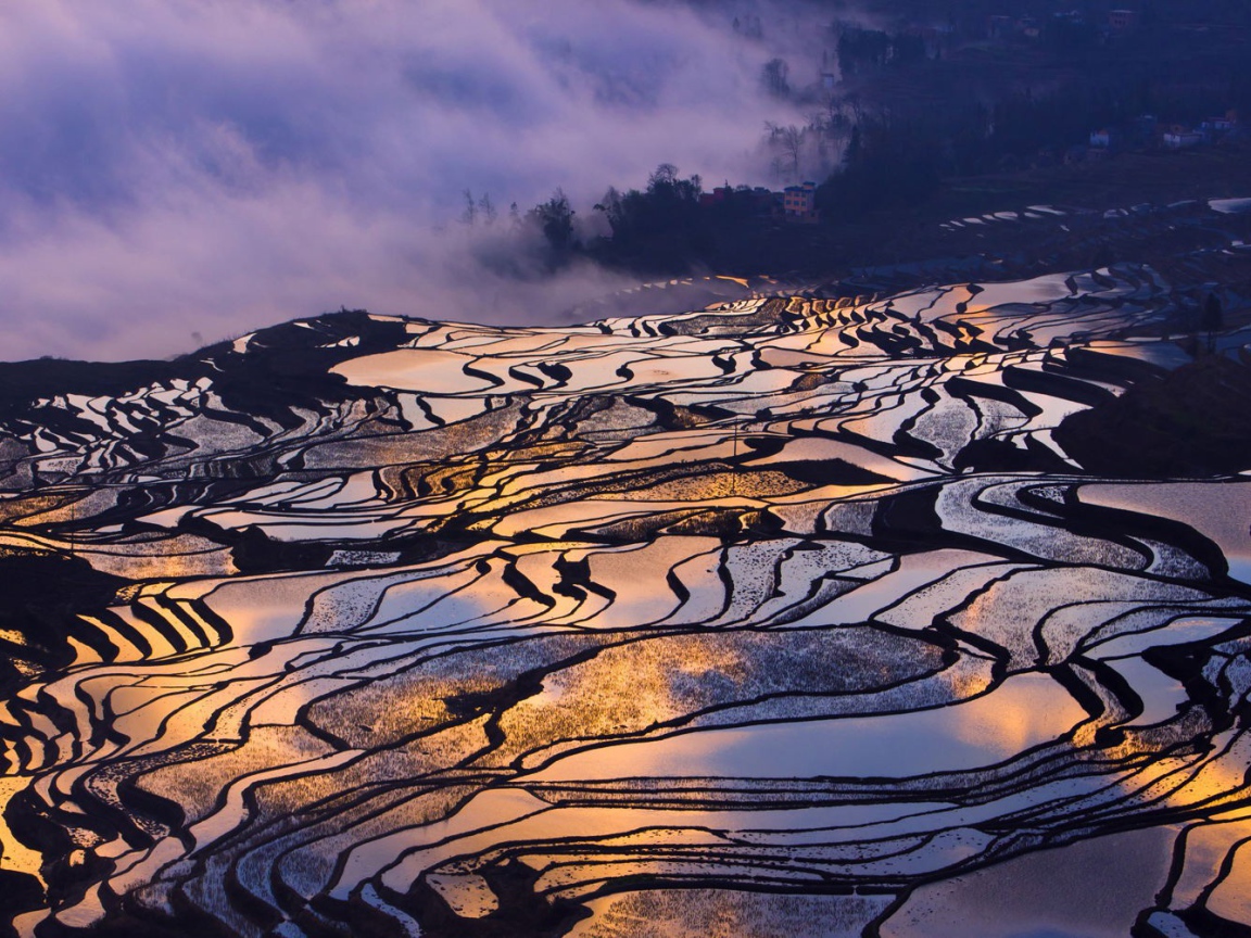 Залитые водой рисовые поля