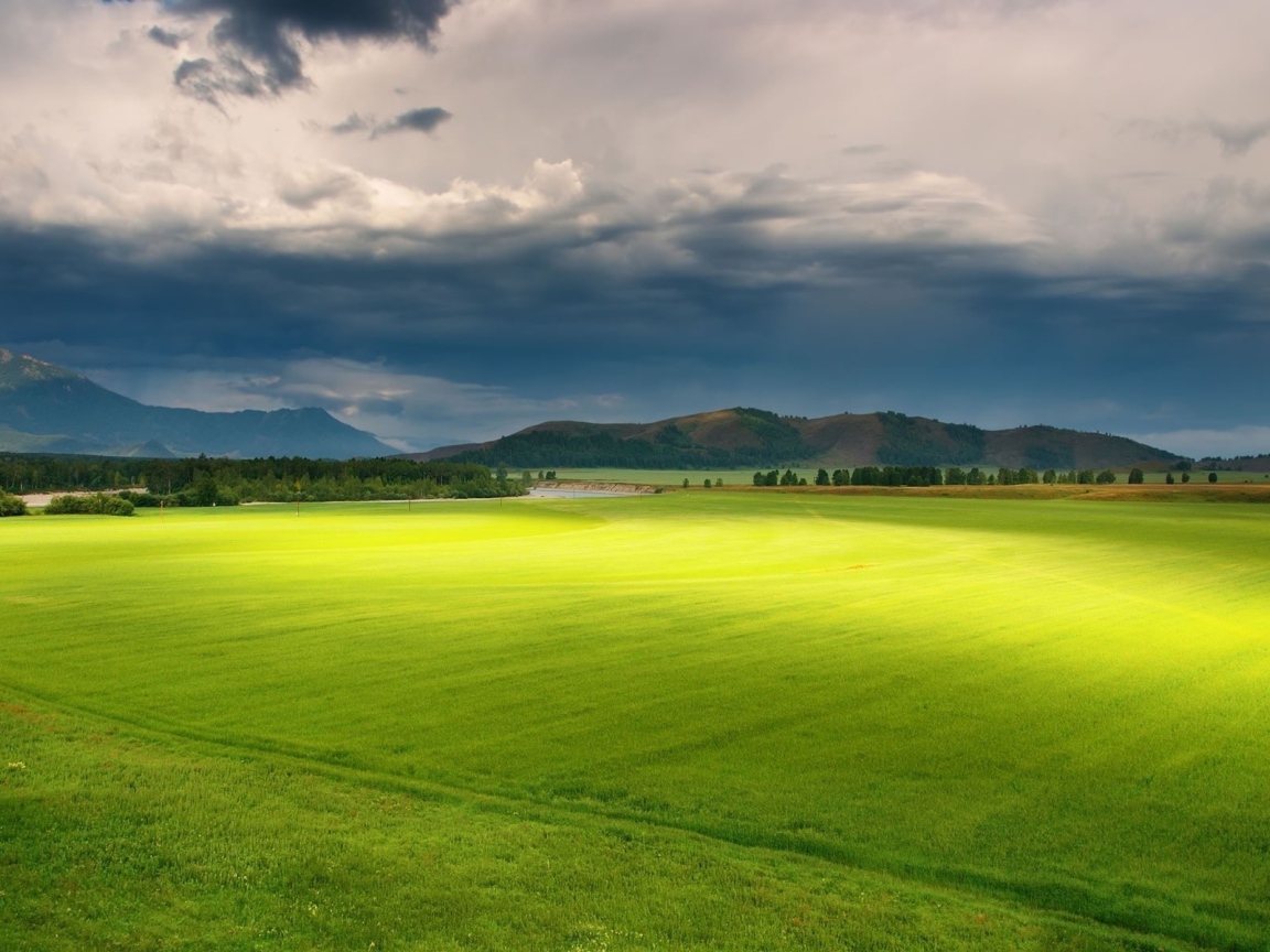 Полет над зеленой равниной