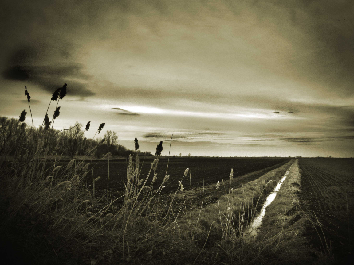 Оросительный канал