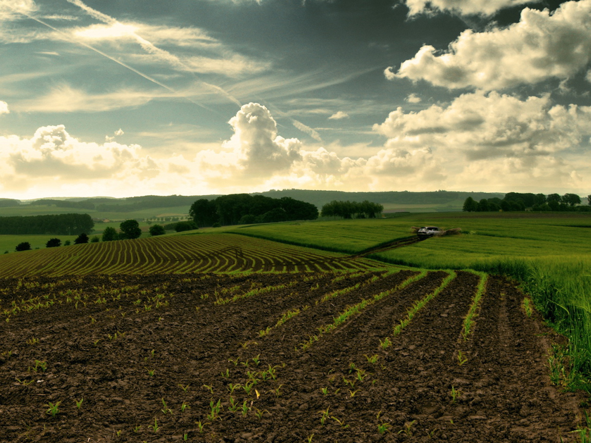 Перепаханное поле