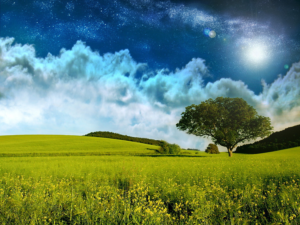 Поле и звездное небо