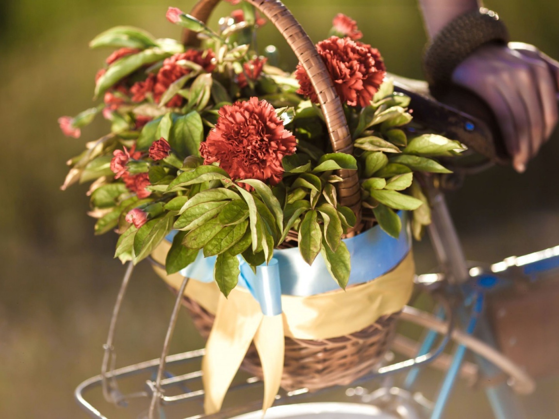 Корзина цветов на багажнике велосипеда