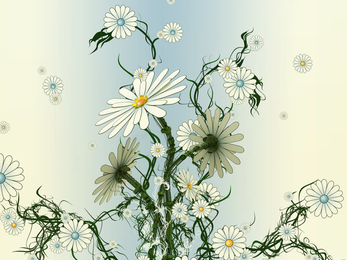 Вьющиеся ромашки